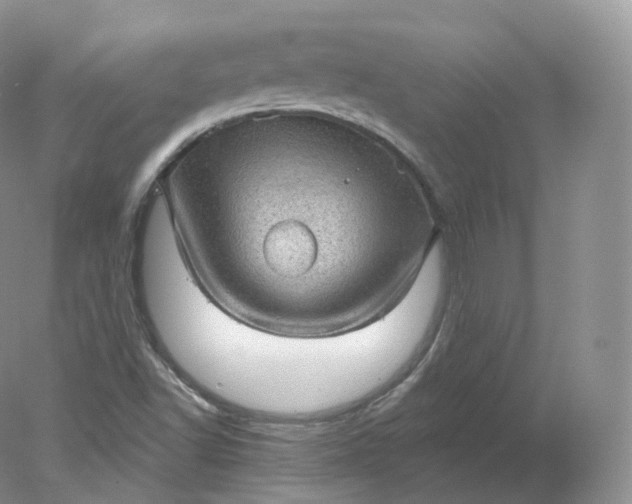 X0000078301502200611172135