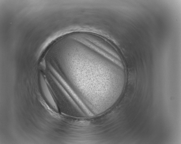 X0000078301503200611172135