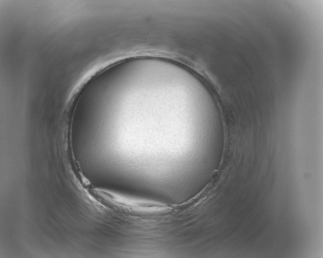 X0000078301504200611172135