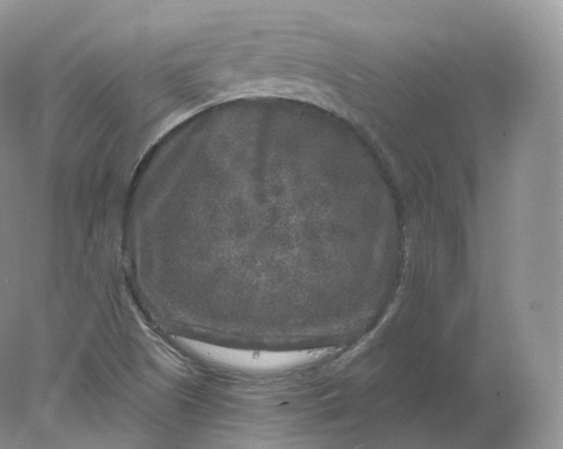 X0000078301505200611172135