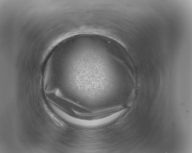 X0000078301507200611172135