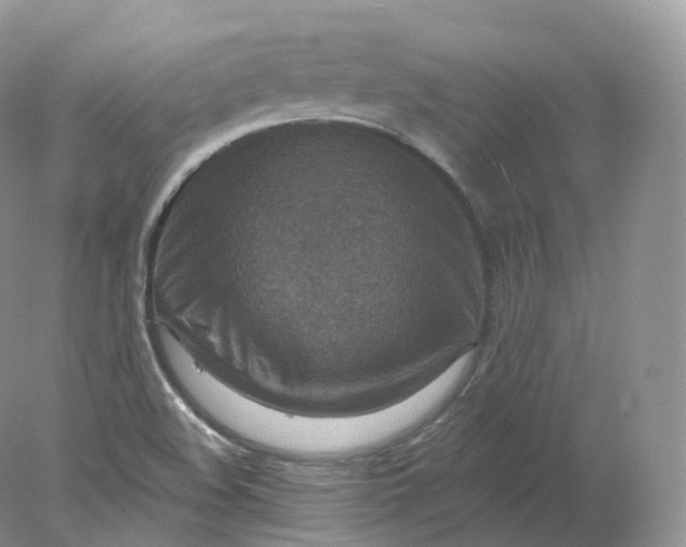 X0000078301508200611172135