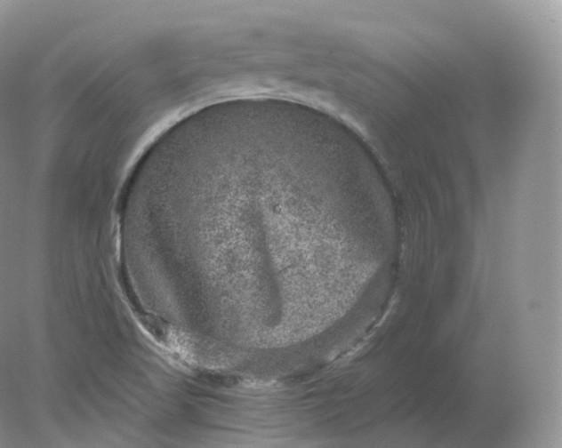 X0000078301509200611172135