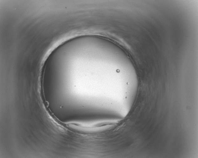 X0000078301512200611172135