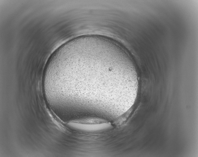 X0000078301513200611172135