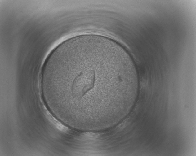 X0000078301514200611172135