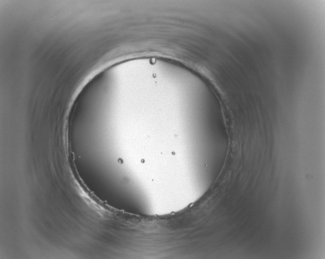 X0000078301516200611172135