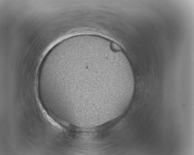 X0000078301518200611172135