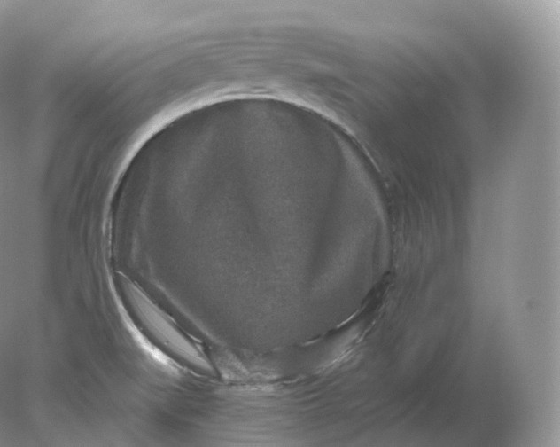 X0000078301519200611172135