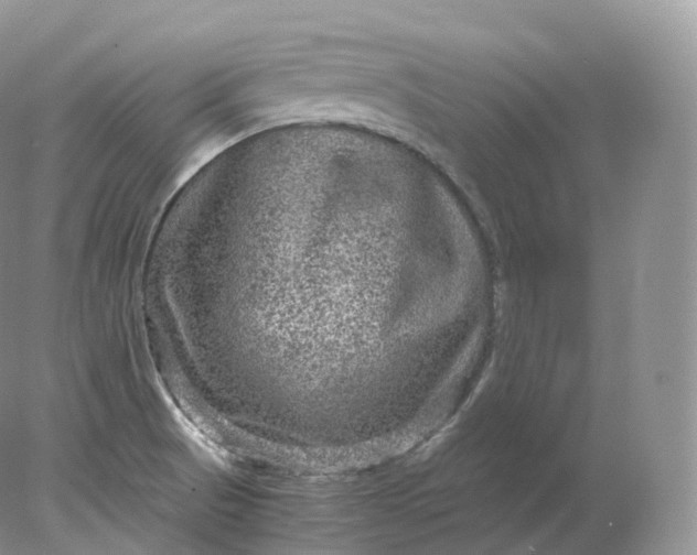 X0000078301521200611172135