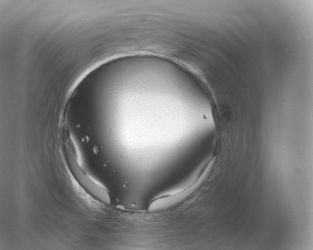 X0000078301524200611172135