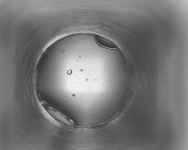 X0000078301526200611172135