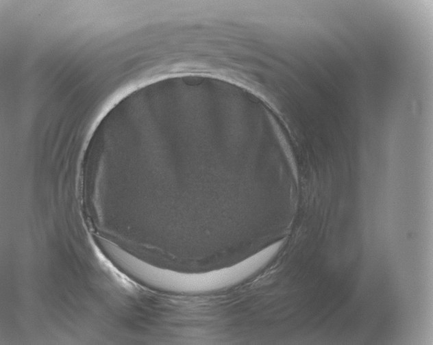 X0000078301527200611172135