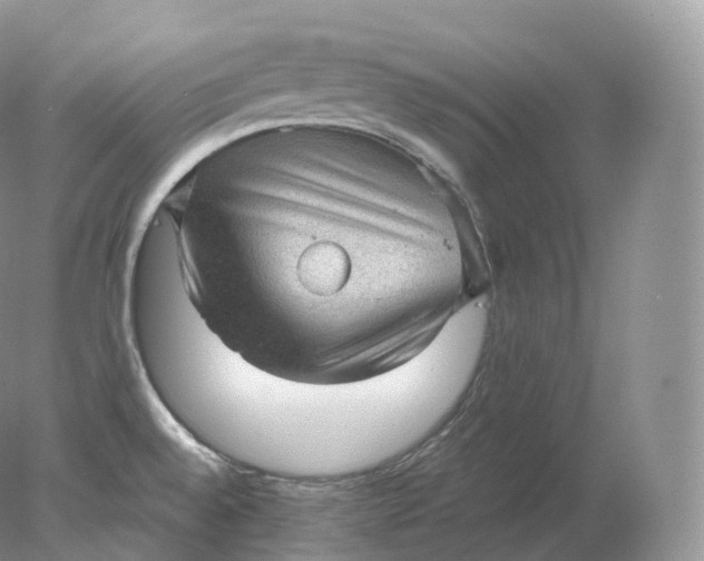 X0000078301528200611172135