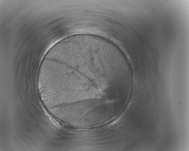 X0000078301529200611172135