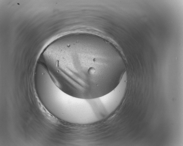 X0000078301530200611172135