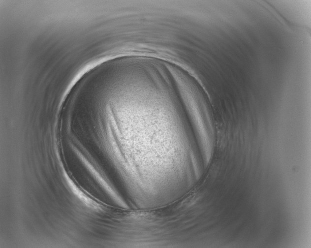 X0000078301531200611172135