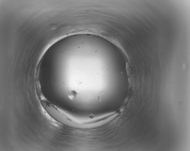 X0000078301532200611172135