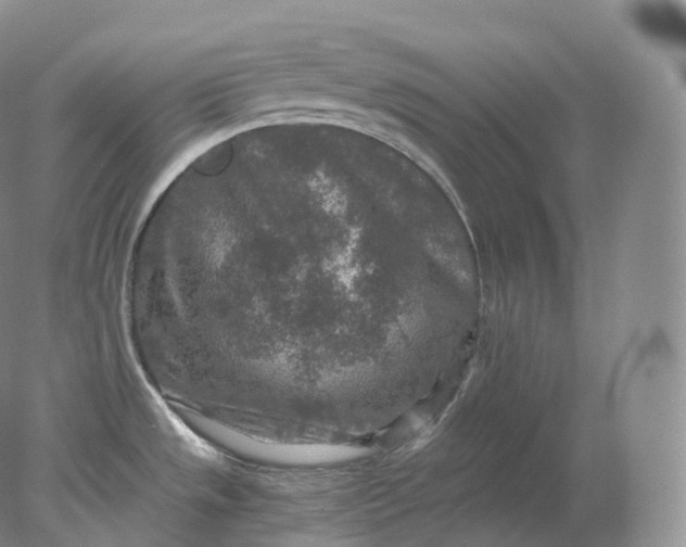 X0000078301533200611172135