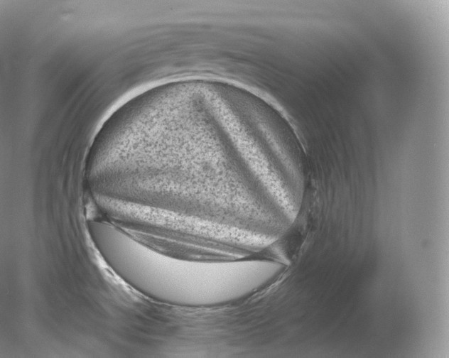 X0000078301534200611172135