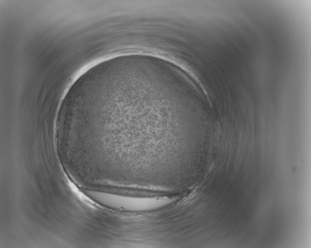 X0000078301535200611172135