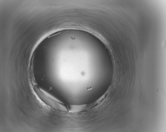 X0000078301536200611172135