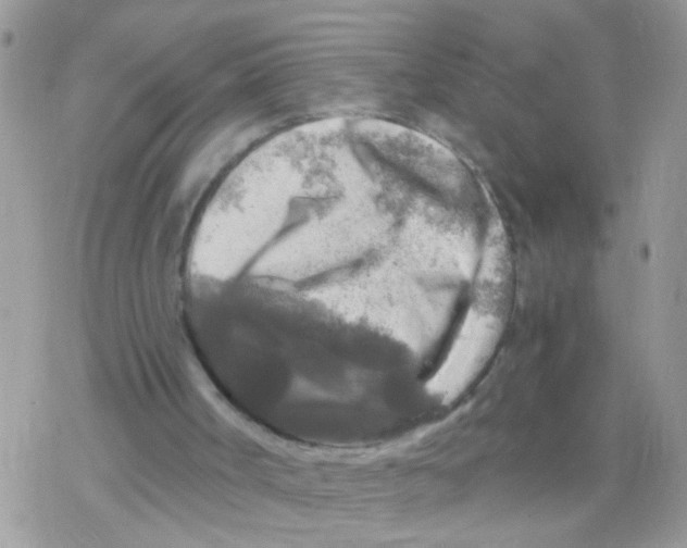 X0000078300002200611251520