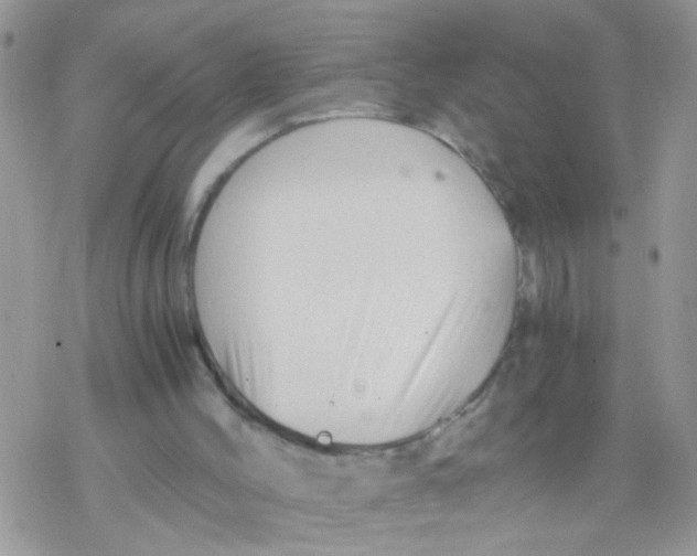 X0000078300004200611251520