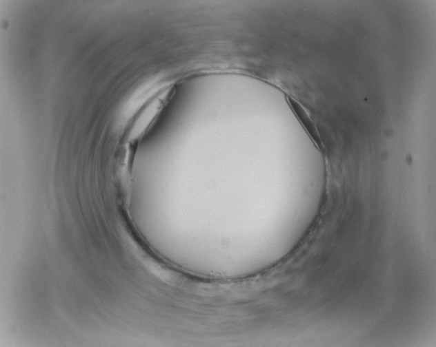 X0000078300005200611251520