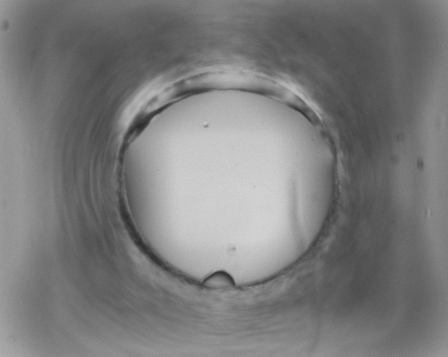 X0000078300007200611251520