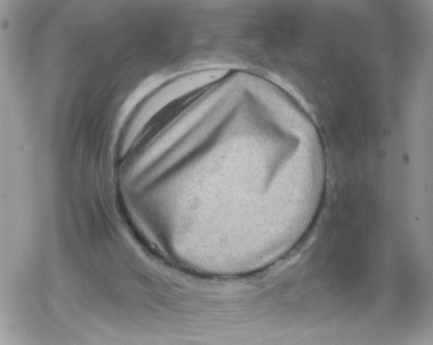 X0000078300008200611251520