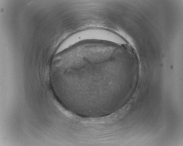 X0000078300009200611251520