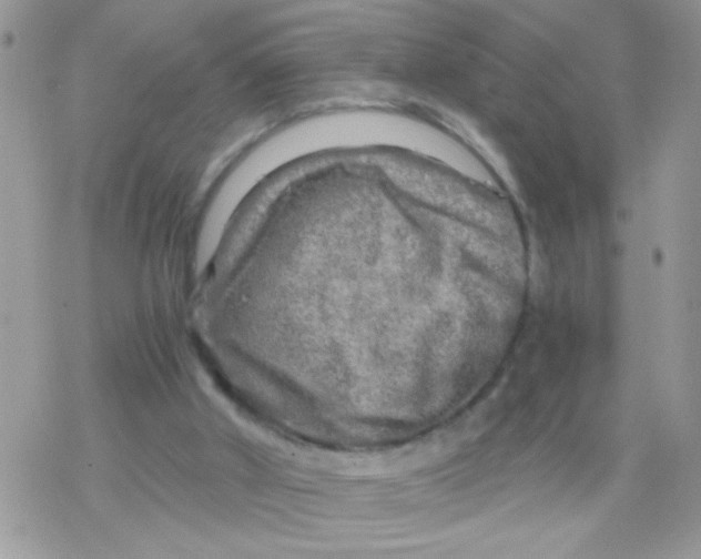 X0000078300010200611251520