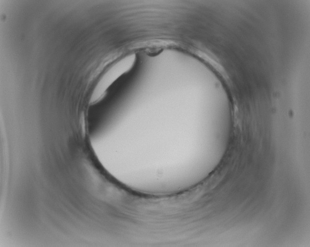 X0000078300013200611251520