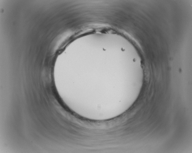 X0000078300015200611251520