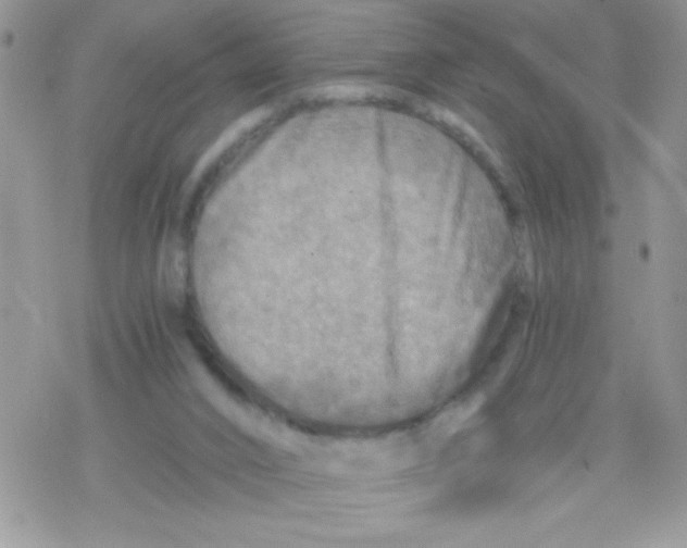 X0000078300016200611251520