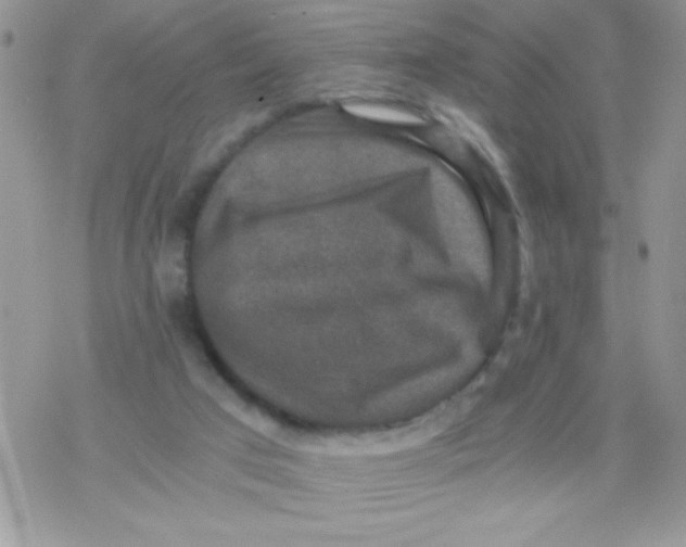 X0000078300017200611251520