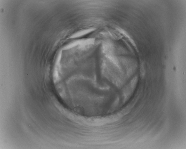 X0000078300018200611251520