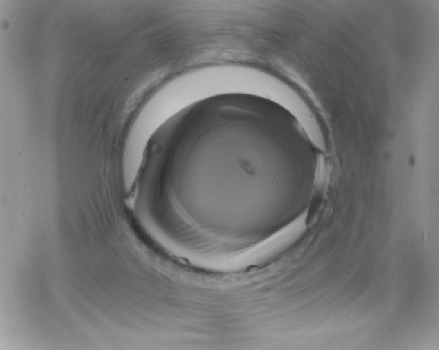 X0000078300019200611251520