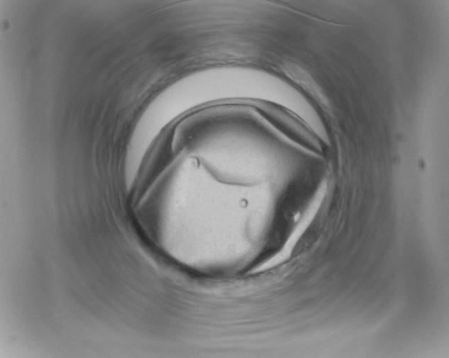 X0000078300021200611251520