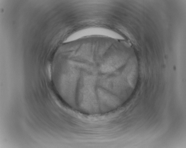 X0000078300022200611251520