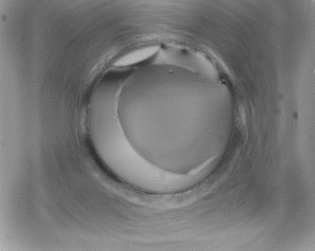 X0000078300023200611251520