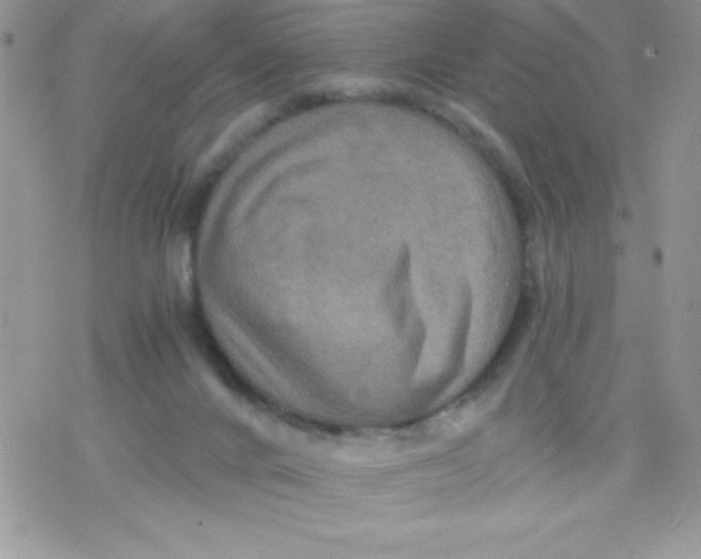 X0000078300024200611251520