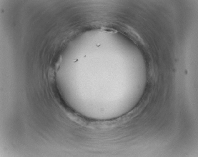 X0000078300025200611251520