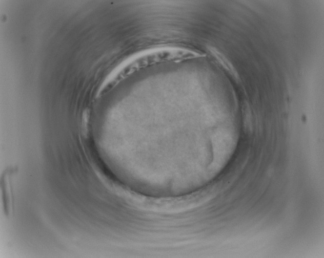 X0000078300026200611251520