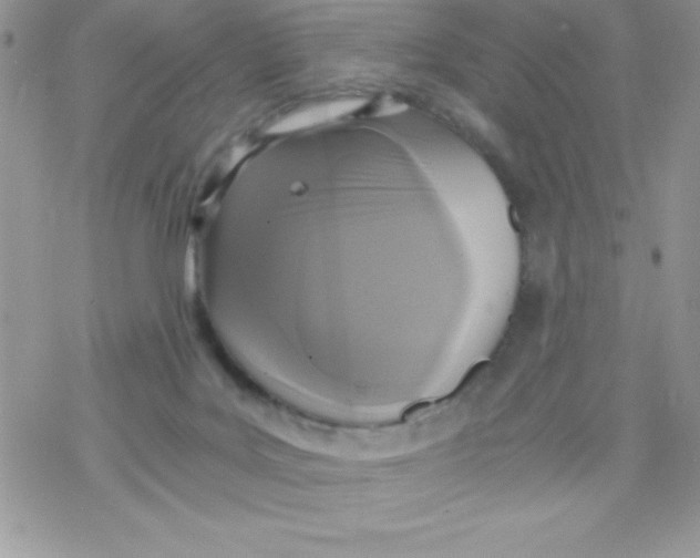 X0000078300027200611251520