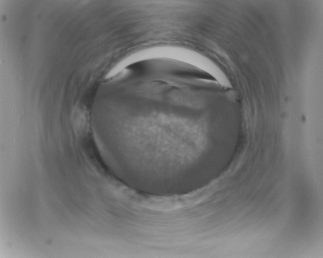 X0000078300029200611251520