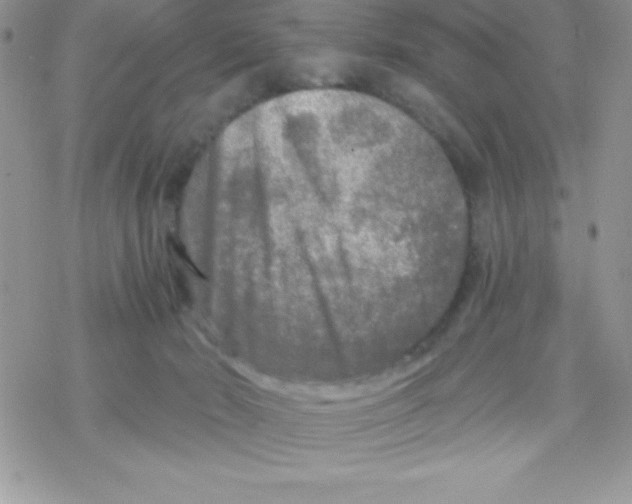 X0000078300030200611251519