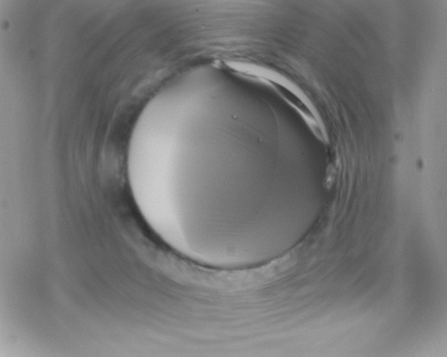 X0000078300031200611251519