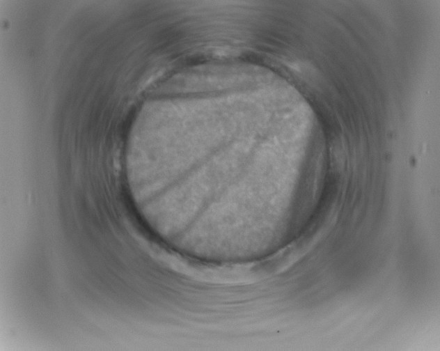 X0000078300032200611251519